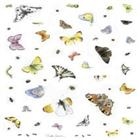 CARTA DI RISO 35X50 5026