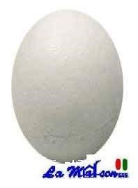 UOVA H 08 POLISTIROLO