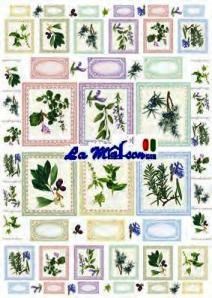 CARTA DECOUPAGE 41 AROMATICHE