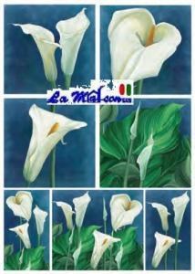 CARTA DECOUPAGE 96 CALLE