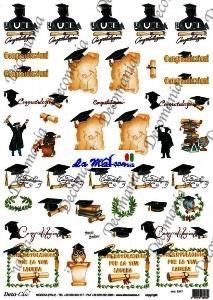 CARTA DI RISO 35X50 5317